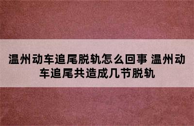 温州动车追尾脱轨怎么回事 温州动车追尾共造成几节脱轨